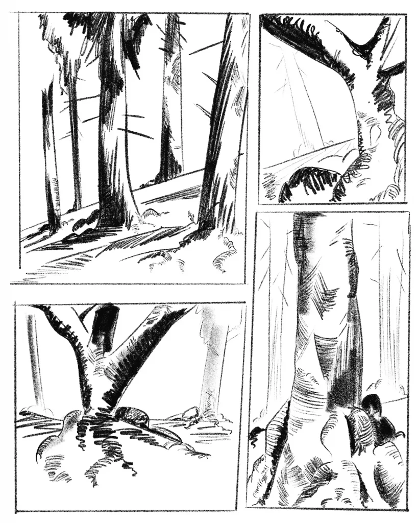 Digital Forest Sketches